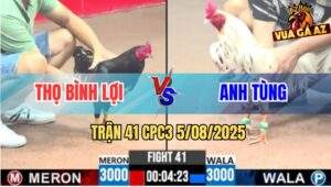 Trận 41 CPC3 5/8/2025 - Bướm Anh Tùng Siết 1 Hơi Đối Thủ Chạy Be Miệng