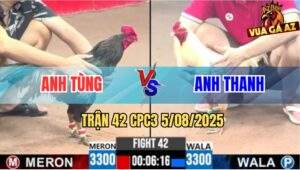Trận 42 CPC3 5/8/2025 - Anh Tùng Càn Quét C3 Thắng 3 Độ Liên Tục