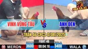 Trận 46 CPC3 4/8/2025 - Gà Anh Đen Nhảy Cò Cò Hạ Sát Điều Mặt Râu