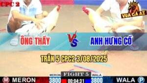 Trận 5 CPC2 3/8/2025 - Bướm Ông Thầy Hạ Knock Out Đối Thủ Giãy Chết