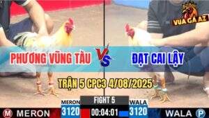 Trận 5 CPC3 4/8/2025 - Anh Phương Vũng Tàu Và Anh Đạt Cai Lậy