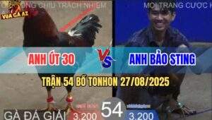 Trận 54 Bồ TonHon 27/8/2025 - Anh Bảo Sting Thả Giùm Gạt Giò Anh Út 30