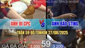 Trận 59 Bồ TonHon 27/8/2025 - Anh Bảo Sting Và Anh Đi Campuchia