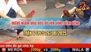 Trận 6 CPC5 26/8/2025 - Điều Đỏ Miệng Ngậm Máu Kết Liễu Đối Thủ