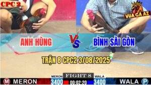 Trận 8 CPC2 3/8/2025 - Gà Điều Anh Bình Sài Gòn Bị Đâm Chạy Té Cắm Đầu