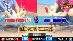Trận 8 CPC3 4/8/2025 - Anh Phong Vũng Tàu Và Anh Thắng Quận 9