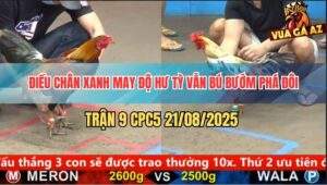 Trận 9 CPC5 21/8/2025 - Điều Chân Xanh May Mắn Chuyển Bại Thành Thắng