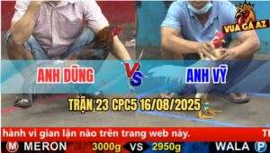 Trận 23 CPC5 Ngày 16/08/2025
