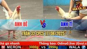 Trận 35 CPC5 Ngày 17/8/2025