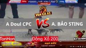 Trận 7 Tonhon 13_08_2025 - Cú A Bảo Sting Quá Hay Hạ Đẹp Điều Phút 90