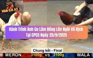 Hành Trình Anh Cu Lâm Đồng Lên Ngôi Vô Địch Tại CPC5 Ngày 25/9/2025