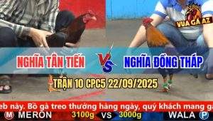 Trận 10 CPC5 22/9/2025 - Anh Nghĩa Tân Tiến Và Anh Nghĩa Đồng Tháp