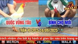 Trận 10 CPC5 24/9/2025 - Anh Quốc Vũng Tàu Và Anh Bình Chợ Mới