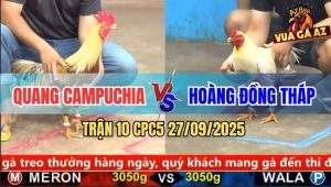 Trận 10 CPC5 27/9/2025 - Anh Quang Campuchia Và Anh Hoàng Đồng Tháp