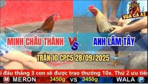 Trận 10 CPC5 28/9/2025 - Anh Minh Châu Thành Và Anh Lâm Tây