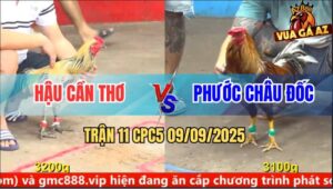 Trận 11 CPC5 9/9/2025 - Anh Hậu Cần Thơ Và Anh Phước Châu Đốc