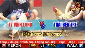 Trận 11 CPC5 15/9/2025 - Anh Tý Vĩnh Long Và Anh Thái Bến Tre
