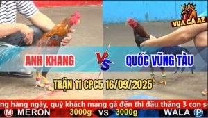 Trận 11 CPC5 16/9/2025 - Anh Khang Và Anh Quốc Vũng Tàu