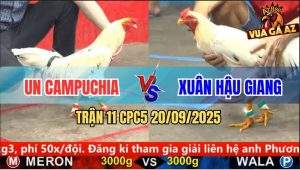Trận 11 CPC5 21/9/2025 - Anh Un Campuchia Và Anh Xuân Hậu Giang