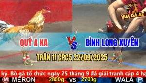 Trận 11 CPC5 22/9/2025 - Anh Quý A Ka Và Anh Bình Long Xuyên