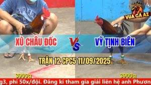 Trận 12 CPC5 11/9/2025 - Anh Xù Châu Đốc Và Anh Vỹ Tịnh Biên