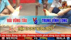 Trận 12 CPC5 16/9/2025 - Anh Hải Vũng Tàu Và Anh Trung Vĩnh Long