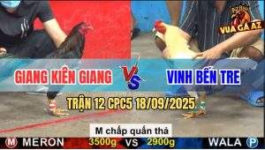 Trận 12 CPC5 18/9/2025 - Anh Giang Kiên Giang Và Anh Vinh Bến Tre