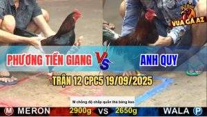 Trận 12 CPC5 19/9/2025 - Anh Phương Tiền Giang Và Anh Quý