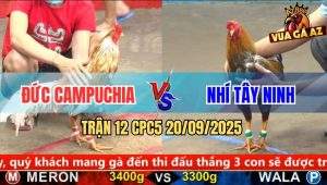 Trận 12 CPC5 20/9/2025 - Anh Đức Campuchia Và Anh Nhí Tây Ninh