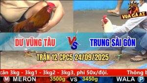 Trận 12 CPC5 24/9/2025 - Anh Dư Vũng Tàu và Anh Trung Sài Gòn