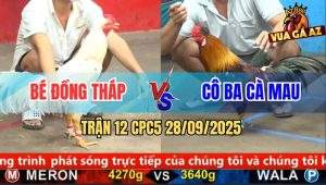 Trận 12 CPC5 28/9/2025 - Anh Bé Đồng Tháp Và Cô Ba Cà Mau