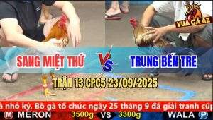 Trận 13 CPC5 23/9/2025 - Anh Sang Miệt Thứ Và Anh Trung Bến Tre