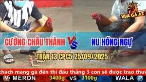 Trận 13 CPC5 25/9/2025 - Anh Cương Châu Thành Và Anh Nu Hồng Ngự