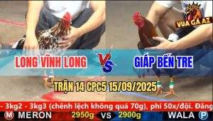 Trận 14 CPC5 15/9/2025 - Anh Long Vĩnh Long Và Anh Giáp Bến Tre