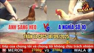 Trận 14 CPC5 18/9/2025 - Anh Sang Heo Và Anh Nghĩa Số 10
