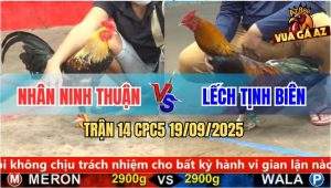 Trận 14 CPC5 19/9/2025 - Nhân Ninh Thuận Và Anh Lếch Tịnh Biên