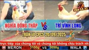 Trận 14 CPC5 20/9/2025 - Anh Nghĩa Đồng Tháp Và Anh Trí Vĩnh Long