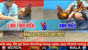 Trận 14 CPC5 21/9/2025 - Anh Linh Tịnh Biên Và Anh Hiếu