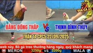 Trận 14 CPC5 22/9/2025 - Anh Bằng Đồng Tháp Và Anh Thịnh Bình Thủy