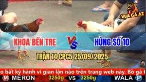 Trận 14 CPC5 25/9/2025 - Anh Khoa Bến Tre Và Anh Hùng Số 10