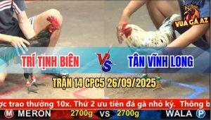 Trận 14 CPC5 26/9/2025 - Anh Trí Tịnh Biên Và Anh Tan Vĩnh Long