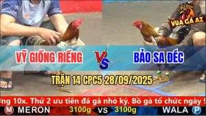 Trận 14 CPC5 28/9/2025 - Anh Vỹ Giồng Riềng Và Anh Bảo Sa Đéc