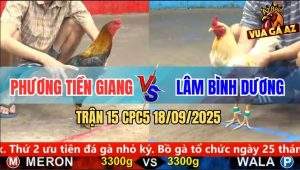 Trận 15 CPC5 18/9/2025 - Anh Phương Tiền Giang Và Anh Lâm Bình Dương