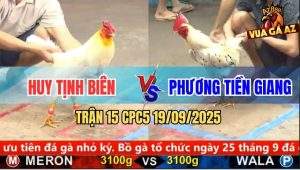 Trận 15 CPC5 19/9/2025 - Anh Huy Tịnh Biên Và Anh Phương Tiền Giang