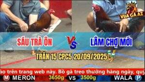 Trận 15 CPC5 21/9/2025 - Anh Sáu Trà Ôn Và Anh Lâm Chợ Mới