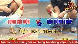 Trận 16 CPC5 10/9/2025 - Anh Long Sài Gòn Và Anh Hậu Đồng Tháp