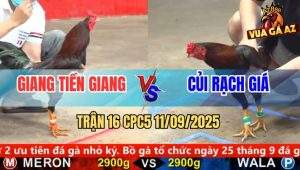 Trận 16 CPC5 11/9/2025 - Anh Giang Tiền Giang Và Anh Củi Rạch Giá