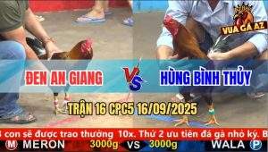 Trận 16 CPC5 16/9/2025 - Anh Đen An Giang Và Anh Hùng Bình Thủy