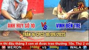 Trận 16 CPC5 18/9/2025 - Anh Huy Số 10 Và Anh Vinh Bến Tre