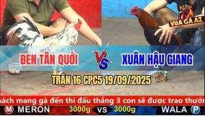 Trận 16 CPC5 19/9/2025 - Anh Đen Tân Quới Và Anh Xuân Hậu Giang